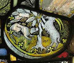 strelley church, notts ; dog and goat with holly tree, c16 glass roundel