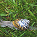 Clearly proceeding at a snail's pace!