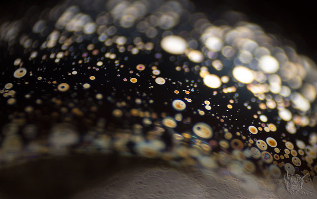 Bubble Macro