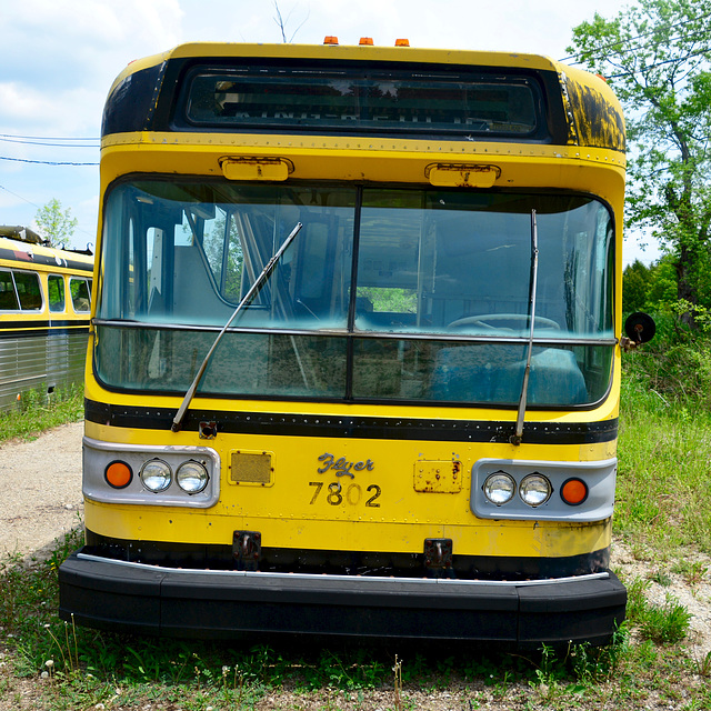 Canada 2016 – Halton County Radial Railway – Hamilton Street Railway 7802