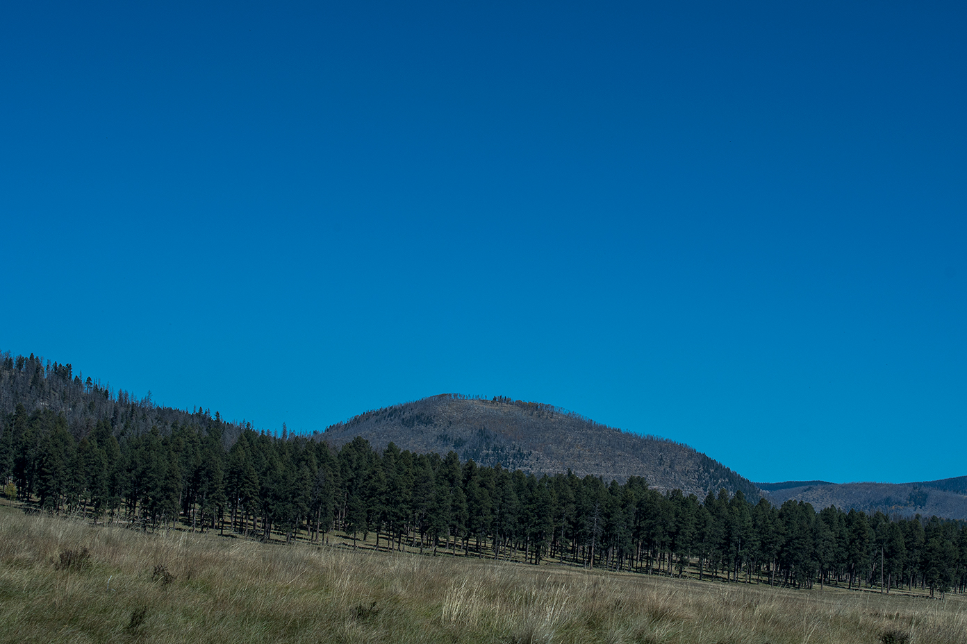 Valles caldera9