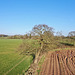 Gnosall fields by drone
