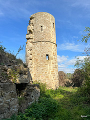 Kinloss Cistercian Abbey ruins 23-09-2023