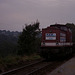 BÖ0033802