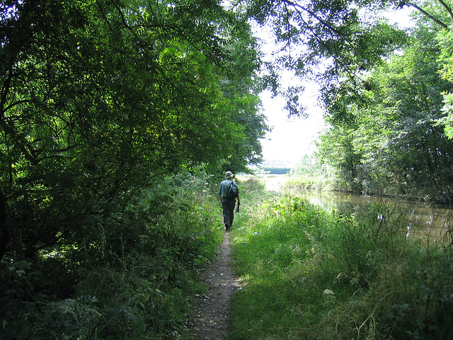 The Staffs and Worcs Canal near Milford Aqueduct