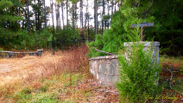 Gate to where - autumn, 2017