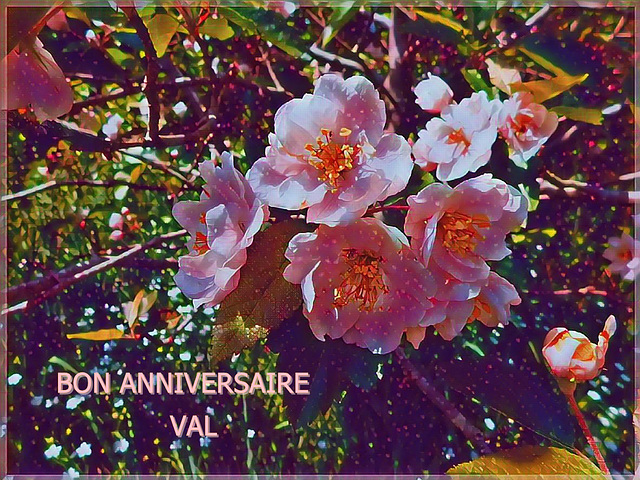 Très bon anniversaire Valfal et Val