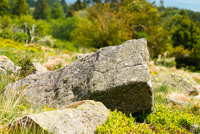 Rhön - 20190530