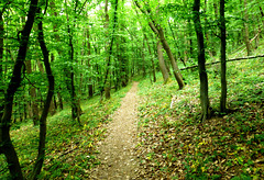 Der Weg zur Kapelle