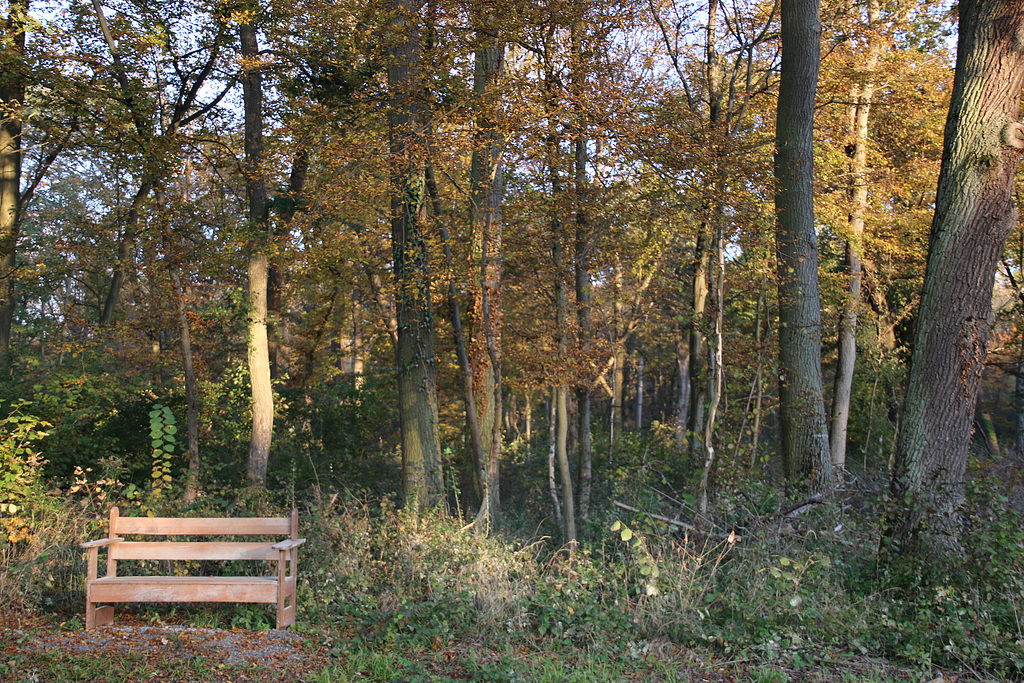 Happy Bench Monday