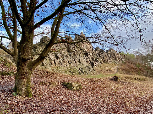 Die Eschbacher Klippen