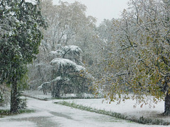 Neige au parc devant chez moi********