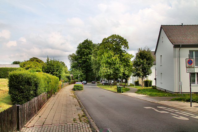 Kirchender Dorfweg (Herdecke-Ende) / 1.08.2022