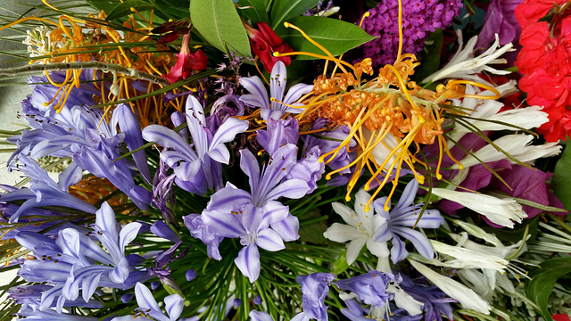 361/365 Mum's flowers