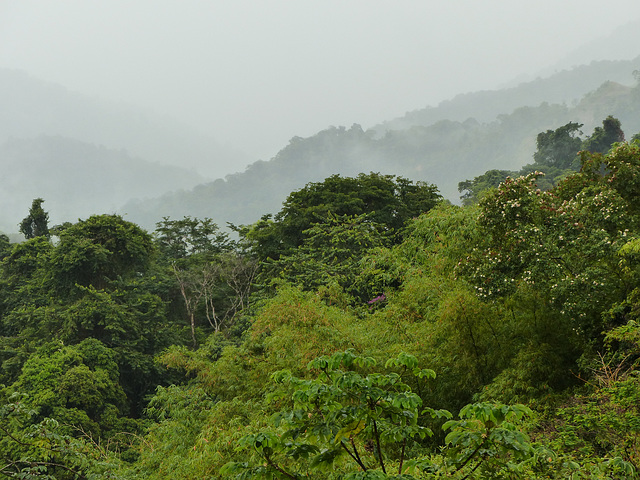 View over Arima valley from Asa Wright Nature Centre, Trinidad