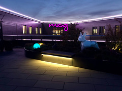 Dachterasse moxy-Hotel