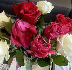 Roses and Red...