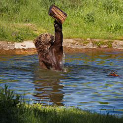 HD-IP-IMG 8416-liceq HD-IP-IMG 8416-liceq