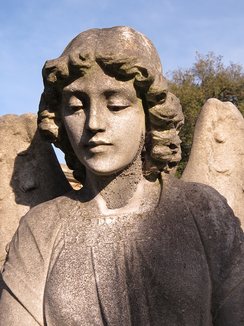 brompton cemetery, london,early c20 angel on tomb