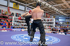 oBp19-1077 oBp19-1077