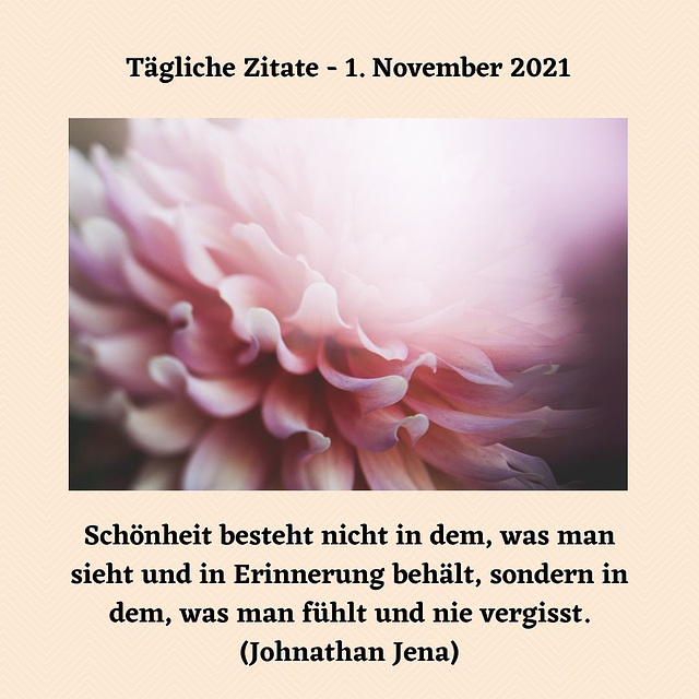 Tägliche Zitate - 1. November 2021