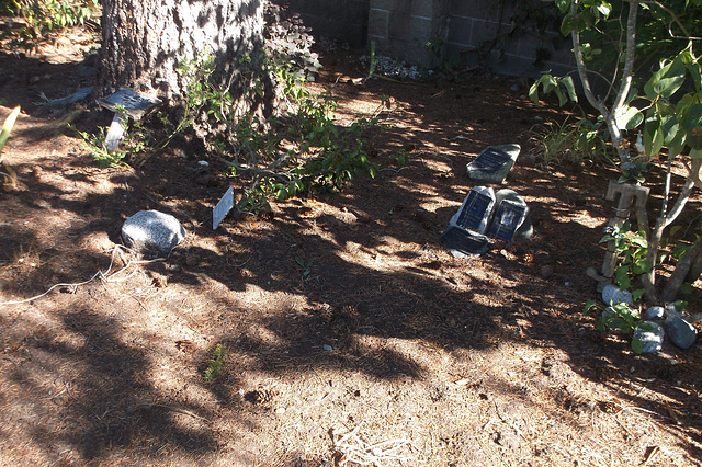 Un cimetière insulaire d'une rare unicité / An island cemetery of a rare uniqueness