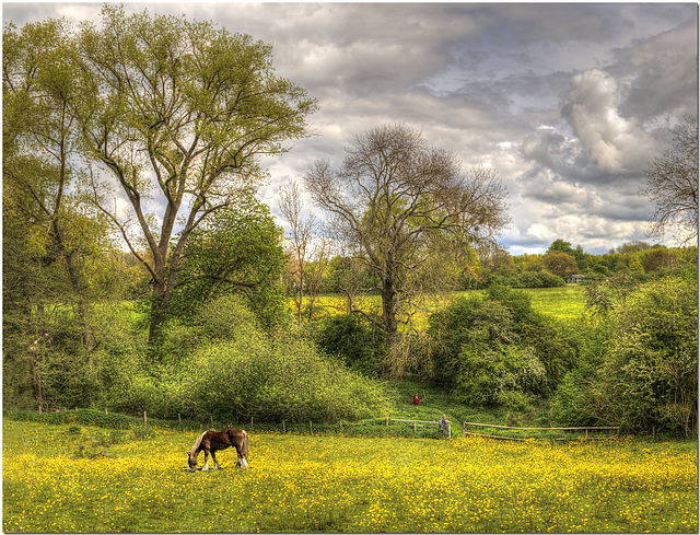 Medway Landscape