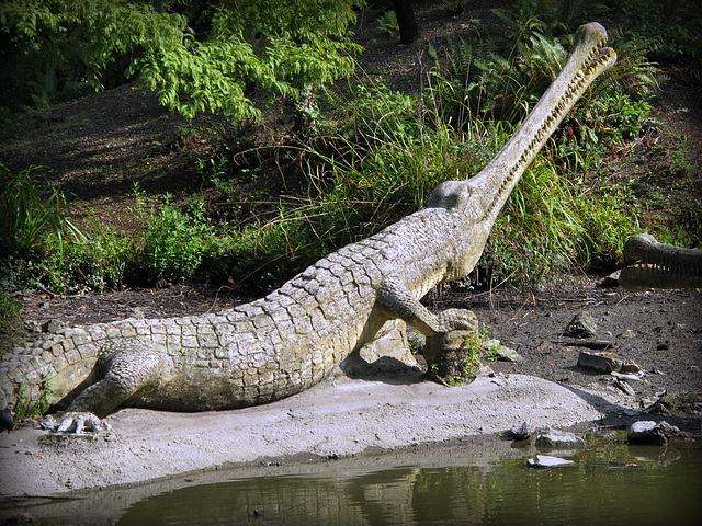 Teleosaurus