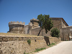 P6210202