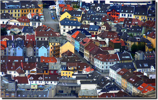 I tetti di Bergen (371)