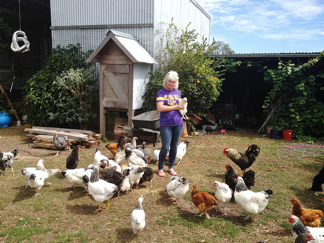 Siobhan and her minions