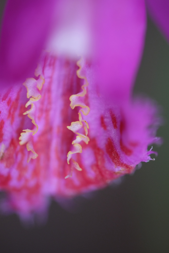 DSCF3948