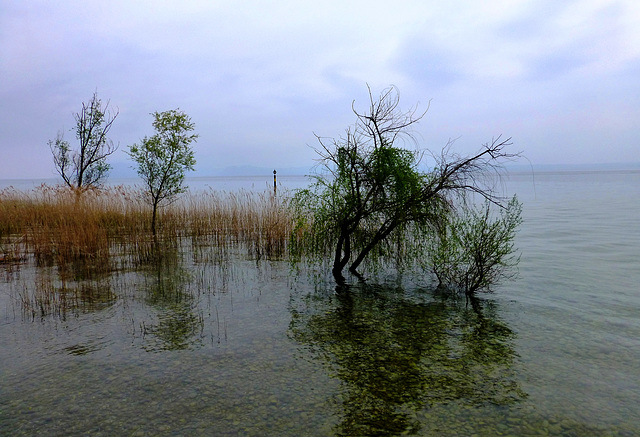 IT - Sirmione