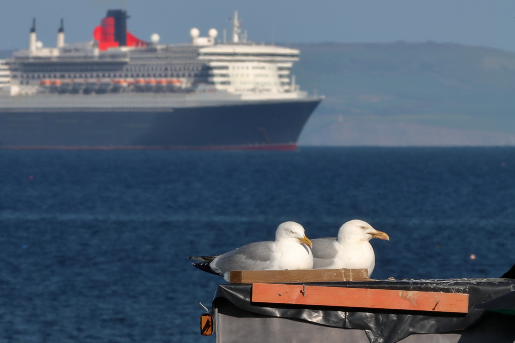 EOS 90D Peter Harriman 17 11 41 20998 QM2 Gull dpp