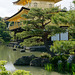 Temple Kinkaku-ji (金閣寺) (le Pavillon d'or) (4)