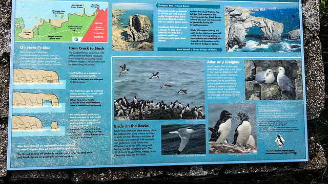 20190614 5169CPw [R~GB] Castlemartin Range, Wales