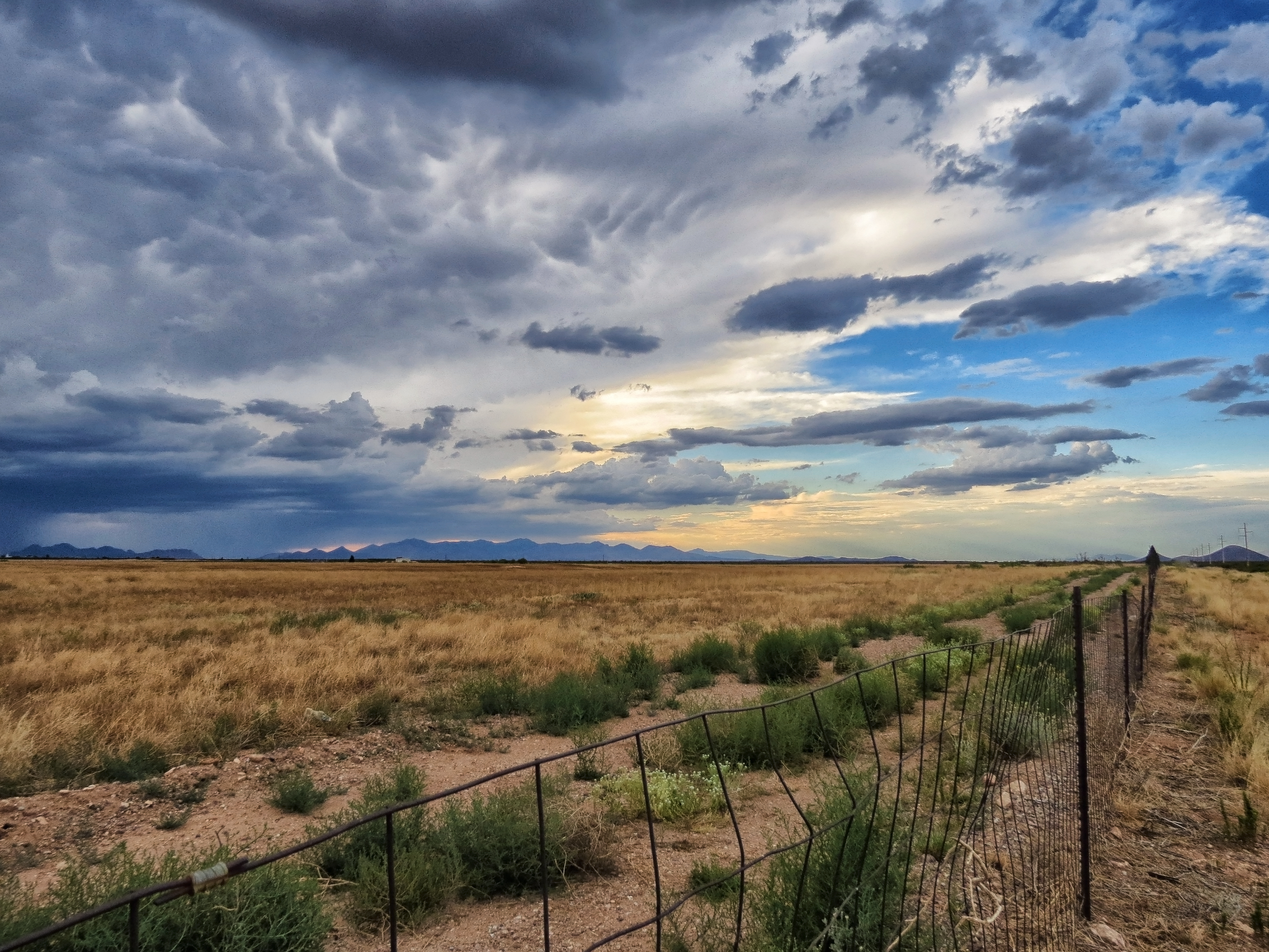 Tumbleweed Stop