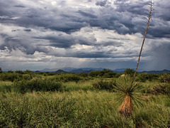 The San Pedro Valley