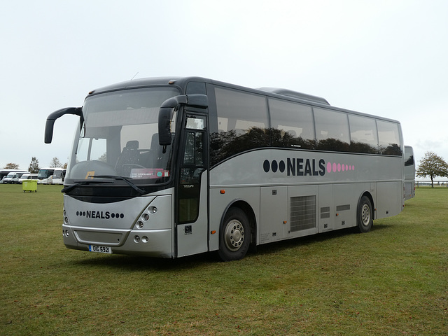 Neal's Travel OIG 6921 at Newmarket Races - 12 Oct 2019 (P1040794)
