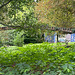 Abteipark Mettlach (2)