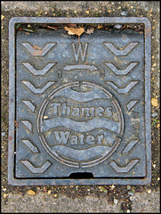 Thames Water manhole cover