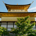 Temple Kinkaku-ji (金閣寺) (le Pavillon d'or) (5)