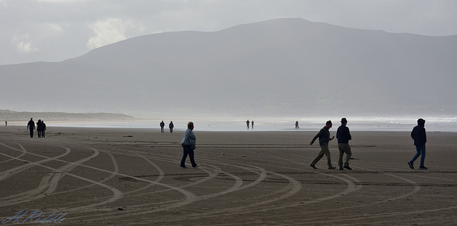 A day at the seaside