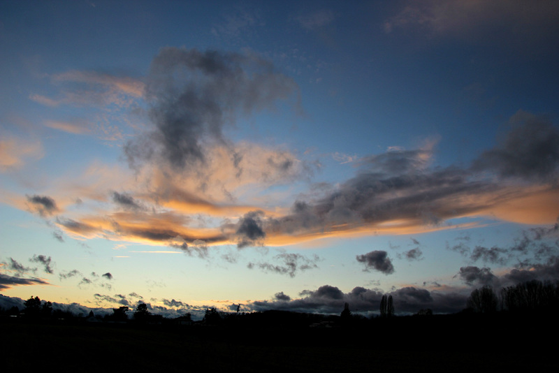 Ein Bild von heute/A today's picture
