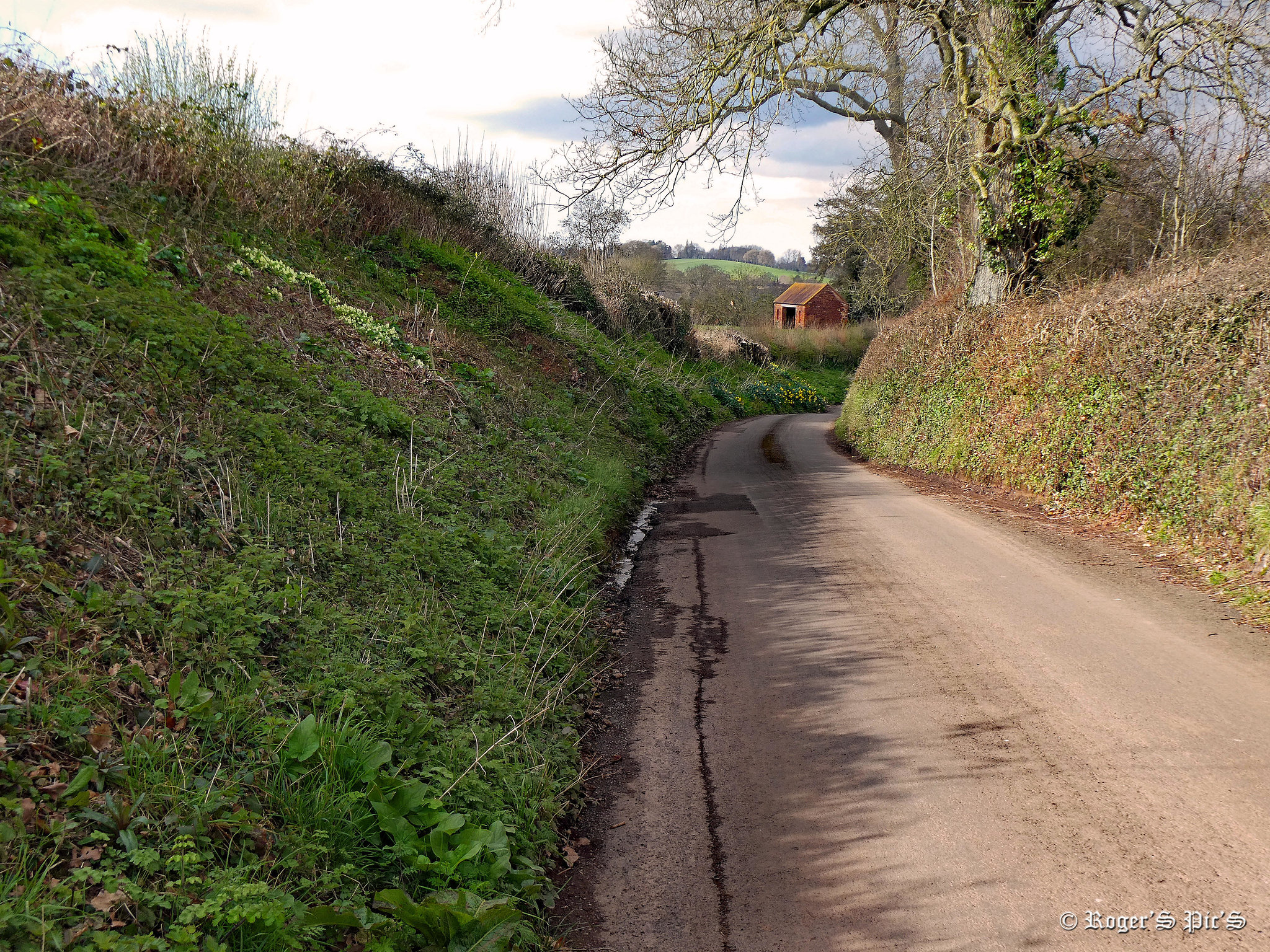 Country Road, Pip