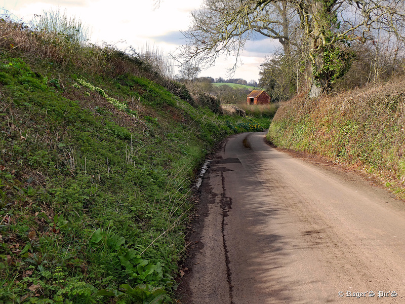 Country Road, Pip