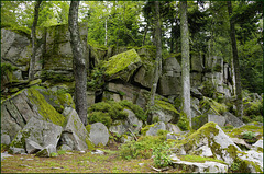 Großer Volzemer Stein