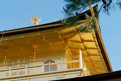 Temple Kinkaku-ji (金閣寺) (le Pavillon d'or) (6)