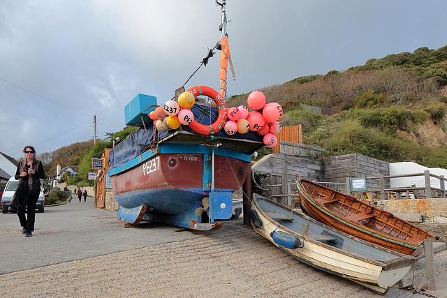 EOS 6D Peter Harriman 16 14 06 03828 DorsetCoast dpp