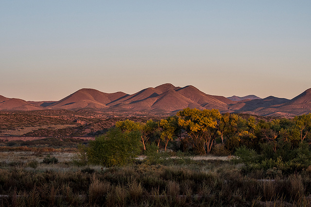 Bosque del Apache4